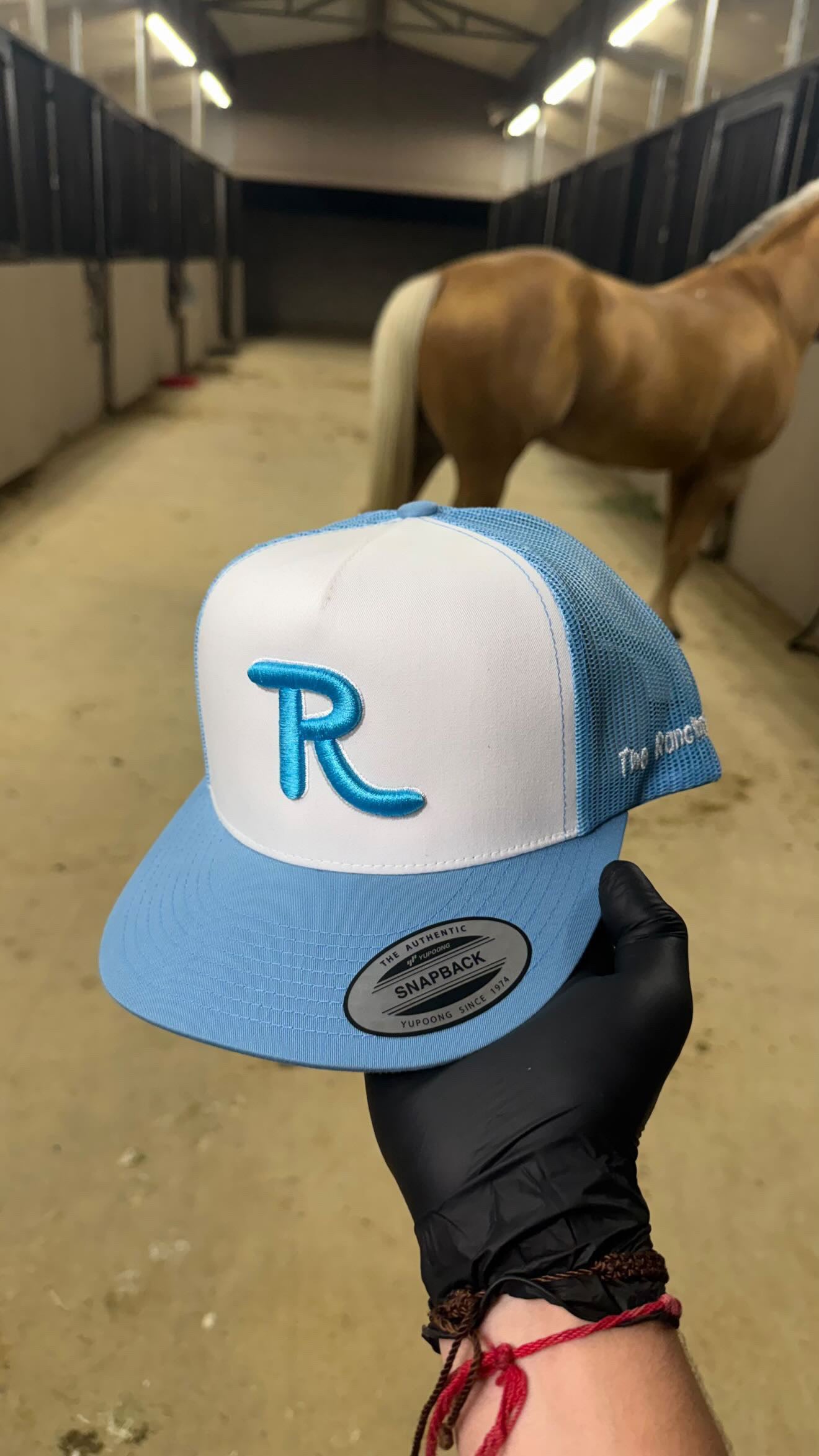 Baby blue on white R
